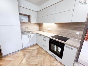 Pronájem bytu 2+1, Ústí nad Labem - Ústí nad Labem-centrum, Horova, 66 m2