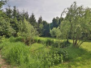 Prodej rodinného domu, Perštejn - Černýš, 111 m2