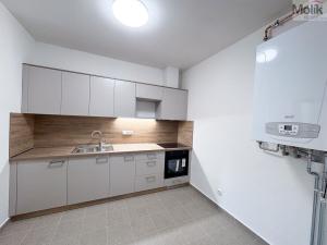 Pronájem bytu 3+1, Ústí nad Labem - Ústí nad Labem-centrum, Horova, 70 m2