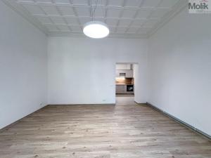 Pronájem bytu 3+1, Ústí nad Labem - Ústí nad Labem-centrum, Horova, 70 m2