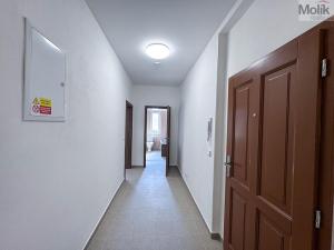 Pronájem bytu 3+1, Ústí nad Labem - Ústí nad Labem-centrum, Horova, 70 m2