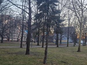 Pronájem bytu 2+1, Ostrava - Moravská Ostrava, Mariánskohorská, 63 m2