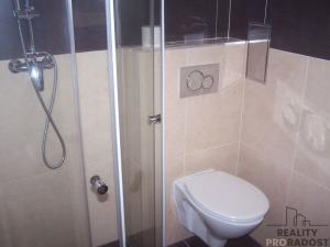 Pronájem bytu 1+kk, Praha - Řepy, Čistovická, 21 m2