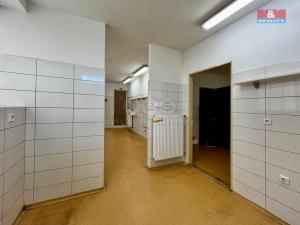 Pronájem obchodního prostoru, Ústí nad Orlicí, T. G. Masaryka, 130 m2