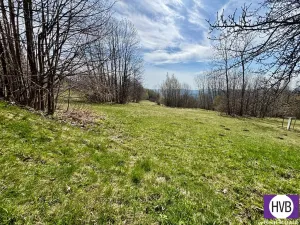 Pronájem pozemku pro bydlení, Velké Hamry, 4241 m2