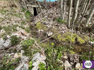 Pronájem pozemku pro bydlení, Velké Hamry, 4241 m2