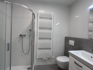 Pronájem bytu 2+kk, Třebíč - Borovina, Okružní, 59 m2