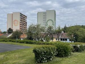 Pronájem bytu 2+kk, Most, K. J. Erbena, 48 m2