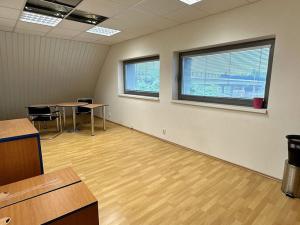 Pronájem kanceláře, Frýdek-Místek - Místek, Beskydská, 222 m2