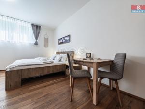Prodej bytu 1+kk, Vrchlabí - Hořejší Vrchlabí, Horská, 31 m2