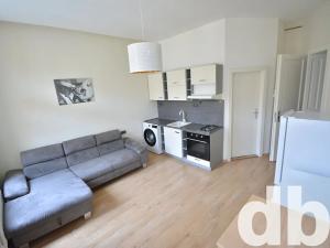 Pronájem bytu 1+kk, Karlovy Vary, Raisova, 30 m2