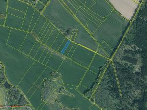 Prodej louky, Chocenice, 1393 m2