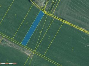 Prodej louky, Chocenice, 1393 m2