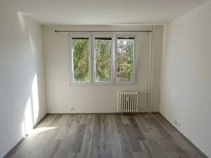 Pronájem bytu 1+1, Plzeň, Elišky Krásnohorské, 40 m2