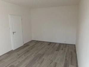 Pronájem bytu 1+1, Plzeň, Elišky Krásnohorské, 40 m2