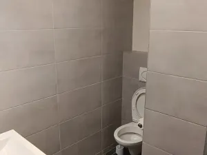Pronájem bytu 1+1, Plzeň, Elišky Krásnohorské, 40 m2