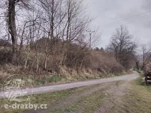Dražba pozemku, Sušice, 7484 m2