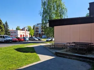 Prodej obchodního prostoru, Frýdlant nad Ostravicí, Janáčkova, 200 m2