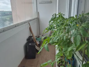 Prodej bytu 3+kk, Praha - Stodůlky, Ovčí hájek, 91 m2