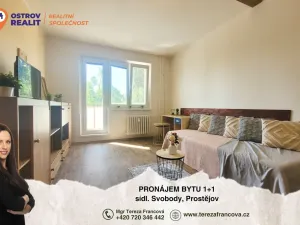 Pronájem bytu 1+1, Prostějov, sídl. Svobody, 35 m2