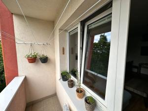 Prodej bytu 2+1, Praha - Strašnice, V úžlabině, 52 m2