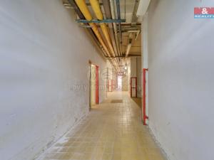 Pronájem skladu, Plzeň, Sousedská, 8 m2