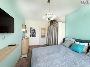 Prodej bytu 2+1, Duchcov, Vrchlického, 60 m2