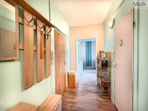 Prodej bytu 2+1, Duchcov, Vrchlického, 60 m2
