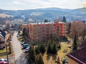 Prodej bytu 1+1, Jílové, E. Krásnohorské, 36 m2