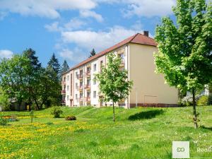Prodej bytu 3+1, Milevsko, Libušina, 73 m2