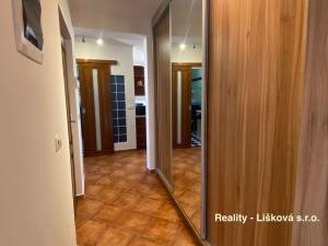 Pronájem bytu 2+1, Ústí nad Labem, Slavíčkova, 62 m2