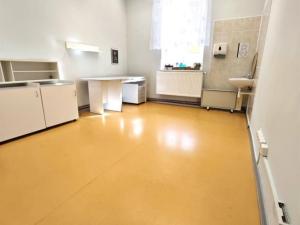 Pronájem komerční nemovitosti, Děčín, Prokopa Holého, 75 m2