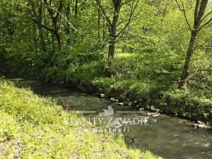 Prodej rybníku, Žabeň, 30500 m2