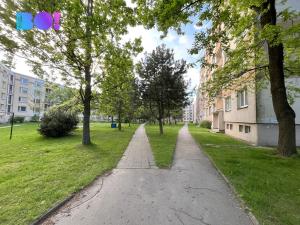 Prodej bytu 3+1, Žďár nad Sázavou, Haškova, 73 m2