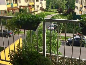 Pronájem bytu 1+1, Praha - Záběhlice, Práčská, 50 m2