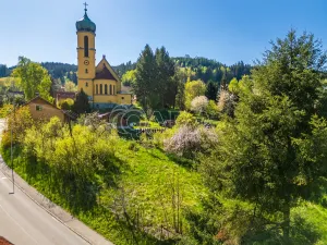 Prodej komerčního pozemku, Větřní, 1340 m2