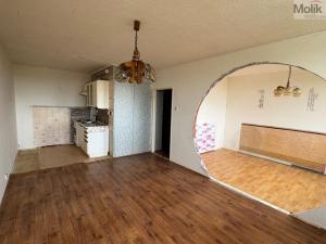 Prodej bytu 2+kk, Litvínov - Janov, Kopistská, 40 m2