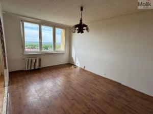 Prodej bytu 2+kk, Litvínov - Janov, Kopistská, 40 m2