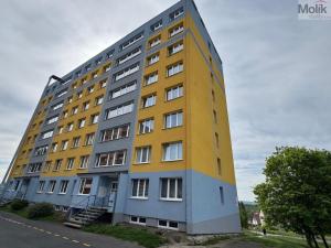 Prodej bytu 2+kk, Litvínov - Janov, Kopistská, 40 m2