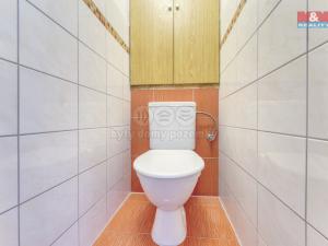 Pronájem bytu 1+1, Plzeň - Severní Předměstí, alej Svobody, 50 m2