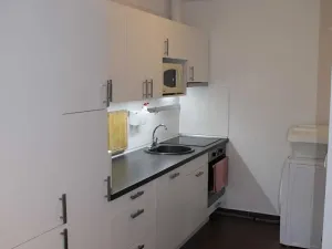 Pronájem bytu 1+kk, Brno, U Leskavy, 38 m2