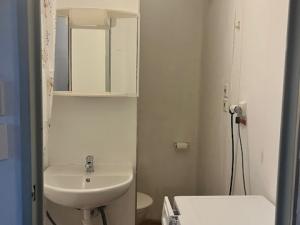 Pronájem bytu 1+kk, Hradec Králové - Nový Hradec Králové, Brožíkova, 35 m2