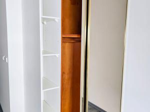 Pronájem bytu 1+kk, Brno, Dukelská třída, 29 m2