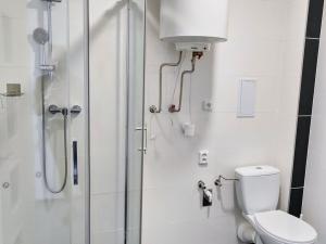 Pronájem bytu 1+kk, Brno, Dukelská třída, 29 m2