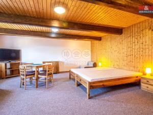 Prodej ubytování, Mařenice - Horní Světlá, 497 m2