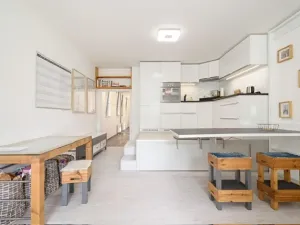 Pronájem bytu 1+kk, Praha - Karlín, U Mlýnského kanálu, 47 m2