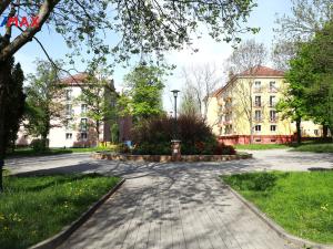 Prodej bytu 2+1, Ostrov, Luční, 62 m2