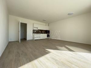 Pronájem bytu 2+kk, Brno - Horní Heršpice, Sokolova, 58 m2