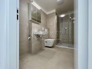 Pronájem bytu 2+kk, Brno - Horní Heršpice, Sokolova, 58 m2
