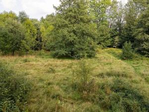 Prodej louky, Liberec, U Tří studní, 6759 m2